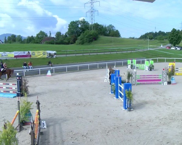 Reitturnier Rüti 2025