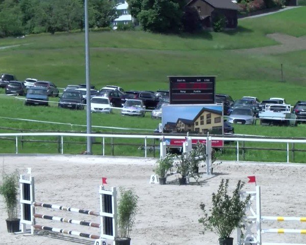 Reitturnier Rüti 2025