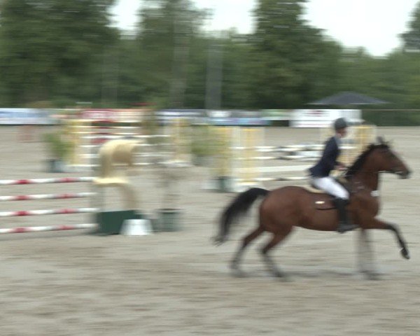 Reitturnier Erkrath - Uhlenhof 2025