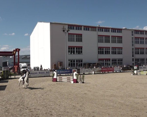 Reitturnier Sulgen 2025