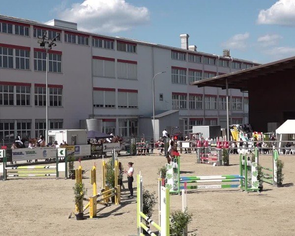 Reitturnier Sulgen 2025