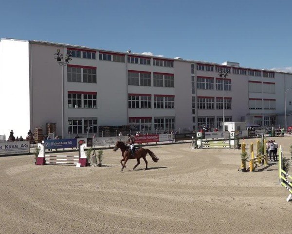 Reitturnier Sulgen 2025