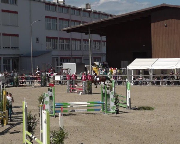 Reitturnier Sulgen 2025