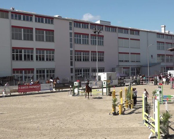 Reitturnier Sulgen 2025