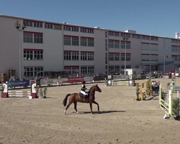 Reitturnier Sulgen 2025