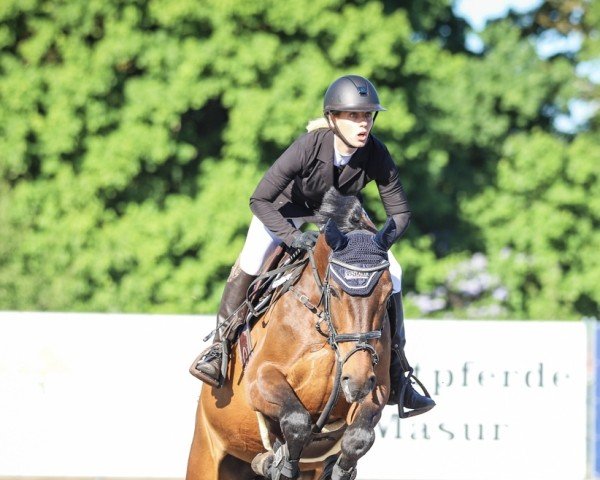 horse Come Pretty (Hanoverian, 2020)