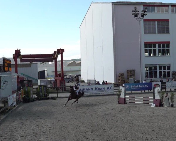 Reitturnier Sulgen 2025
