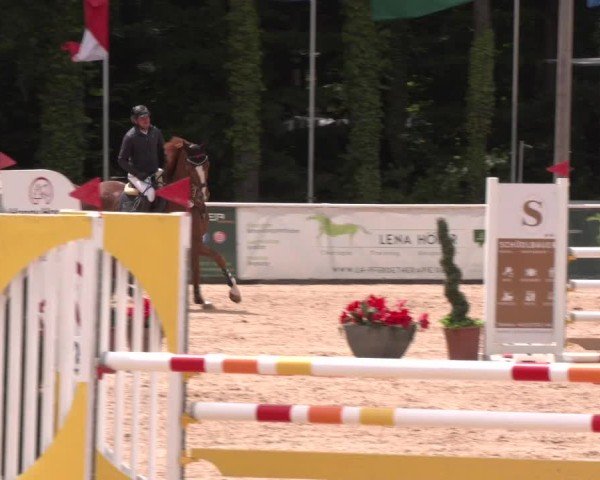 Reitturnier Ranshofen - Braunau am Inn 2025