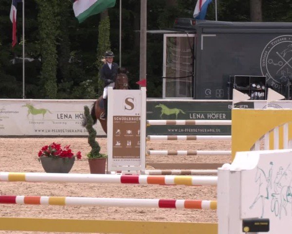 Reitturnier Ranshofen - Braunau am Inn 2025