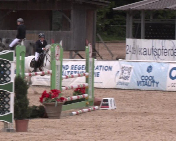 Reitturnier Ranshofen - Braunau am Inn 2025