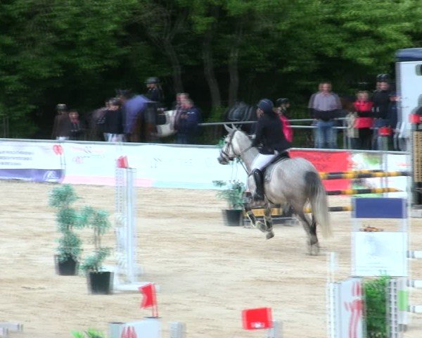 Reitturnier Mallersdorf-Pfaffenberg/Ndb. 2025