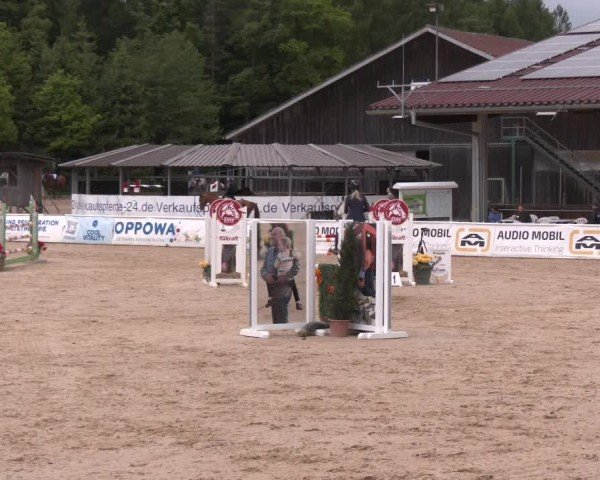 Reitturnier Ranshofen - Braunau am Inn 2025