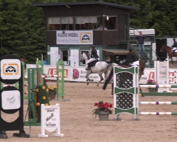 Reitturnier Ranshofen - Braunau am Inn 2025