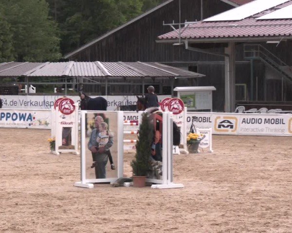 Reitturnier Ranshofen - Braunau am Inn 2025