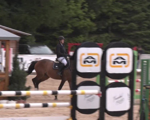 Reitturnier Ranshofen - Braunau am Inn 2025