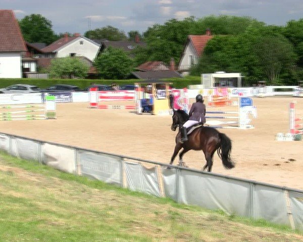 Reitturnier Mallersdorf-Pfaffenberg/Ndb. 2025