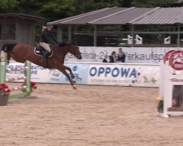 Reitturnier Ranshofen - Braunau am Inn 2025