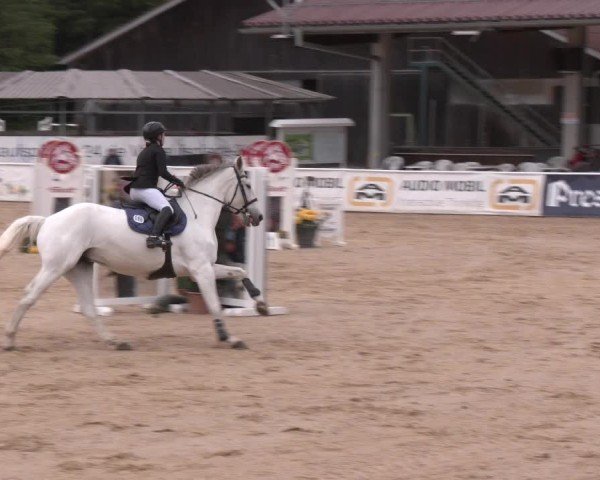Reitturnier Ranshofen - Braunau am Inn 2025
