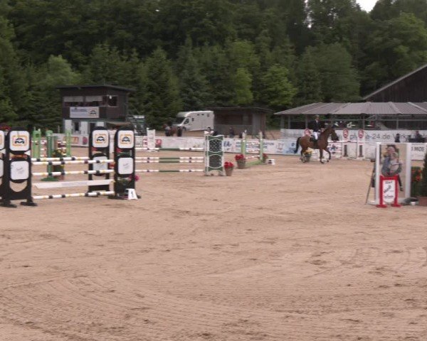 Reitturnier Ranshofen - Braunau am Inn 2025