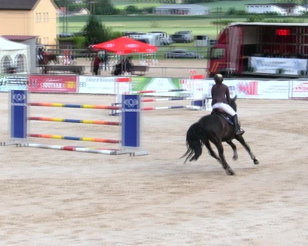 Reitturnier Mallersdorf-Pfaffenberg/Ndb. 2025