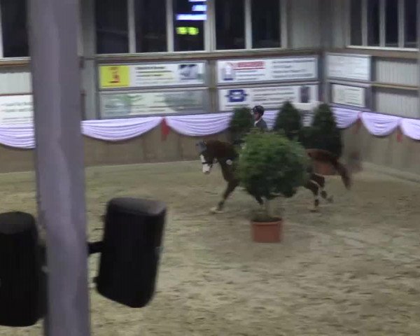 Spring Event Goch 2014