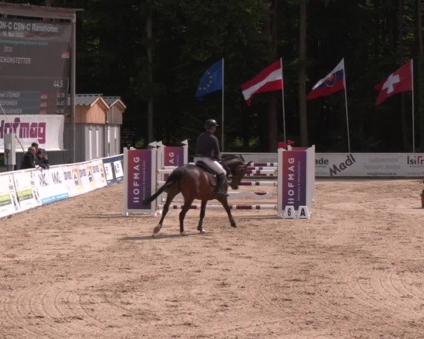 Reitturnier Ranshofen - Braunau am Inn 2025