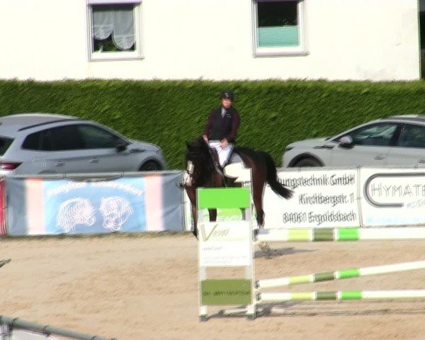 Reitturnier Mallersdorf-Pfaffenberg/Ndb. 2025