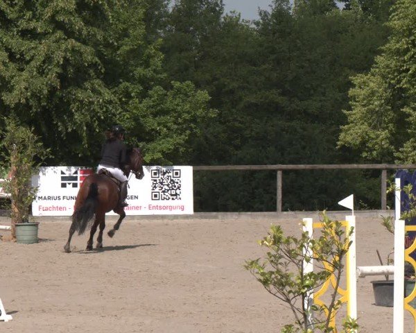 Reitturnier Erkrath - Uhlenhof 2025
