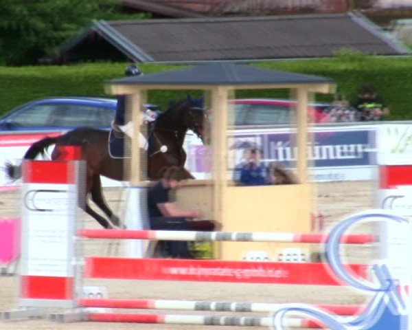 Reitturnier Mallersdorf-Pfaffenberg/Ndb. 2025