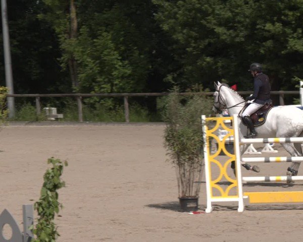 Reitturnier Erkrath - Uhlenhof 2025