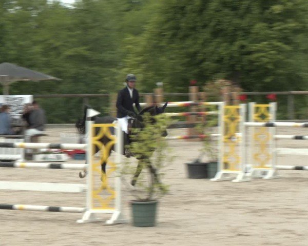 Reitturnier Erkrath - Uhlenhof 2025