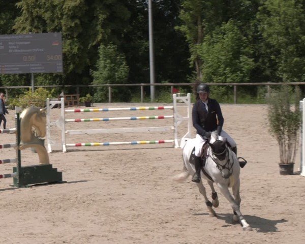 Reitturnier Erkrath - Uhlenhof 2025