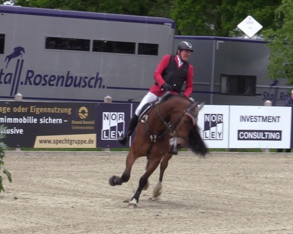 Reitturnier Bremen - Reitanlage Forkert 2025