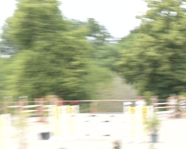 Reitturnier Erkrath - Uhlenhof 2025