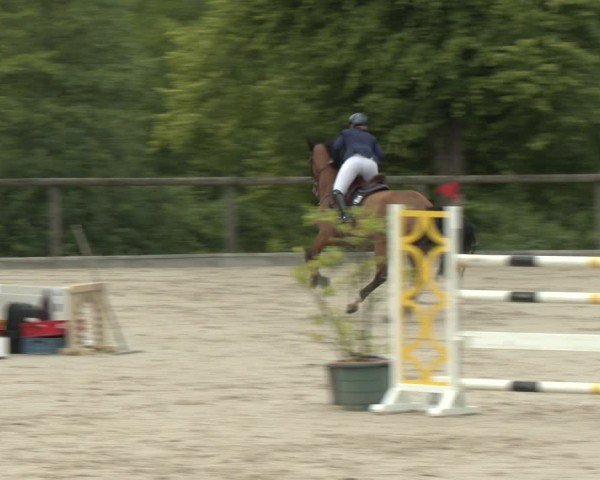 Reitturnier Erkrath - Uhlenhof 2025
