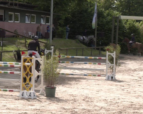 Reitturnier Erkrath - Uhlenhof 2025