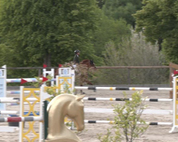 Reitturnier Erkrath - Uhlenhof 2025