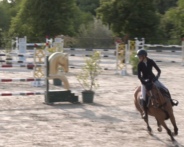 Reitturnier Erkrath - Uhlenhof 2025