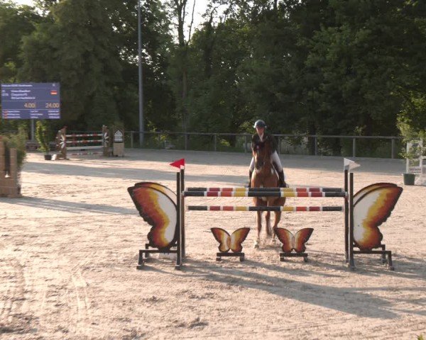 Reitturnier Erkrath - Uhlenhof 2025
