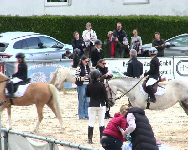 Reitturnier Mallersdorf-Pfaffenberg/Ndb. 2025