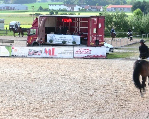 Reitturnier Mallersdorf-Pfaffenberg/Ndb. 2025