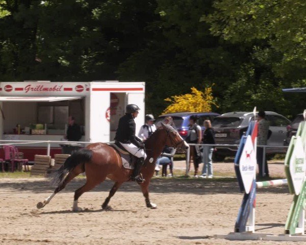 Reitturnier Heiligenwald 2025