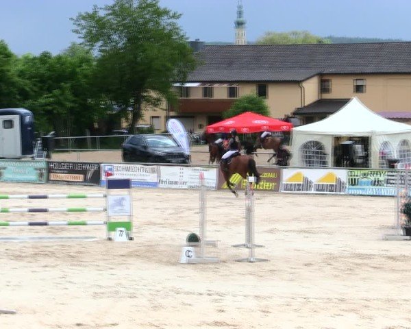 Reitturnier Mallersdorf-Pfaffenberg/Ndb. 2025