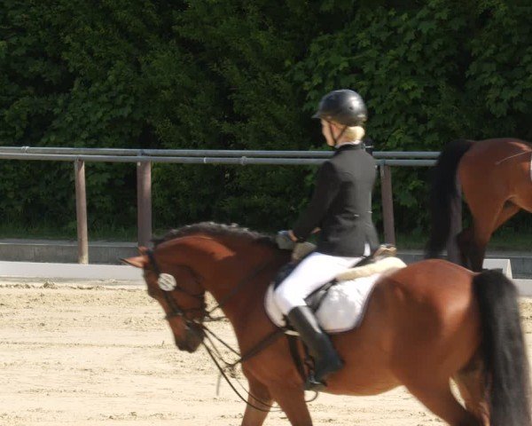 Reitturnier Winnenden 2025