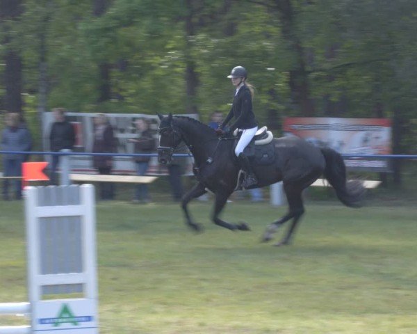 Reitturnier Massen 2025