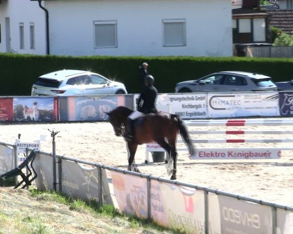 Reitturnier Mallersdorf-Pfaffenberg/Ndb. 2025