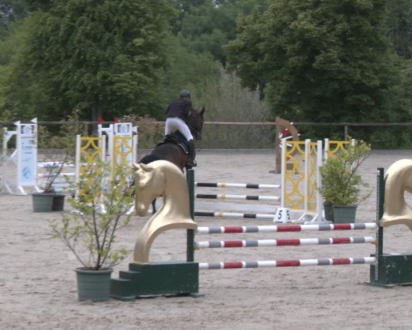 Reitturnier Erkrath - Uhlenhof 2025