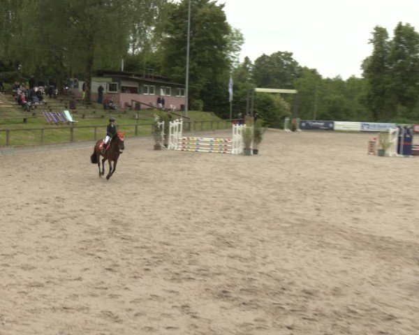 Reitturnier Erkrath - Uhlenhof 2025