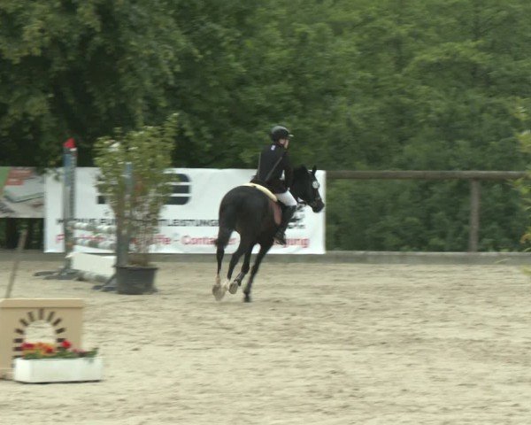 Reitturnier Erkrath - Uhlenhof 2025