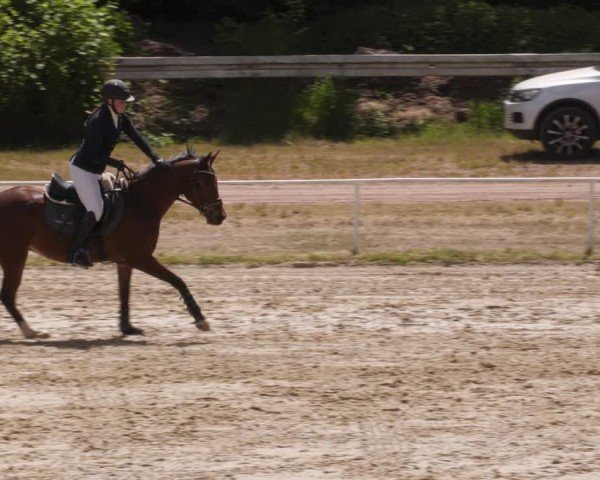 Reitturnier Heiligenwald 2025